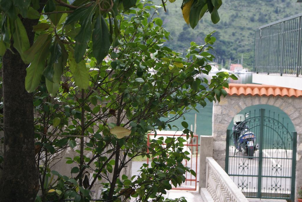 Apartment Kotor-Andrija Jovanovic Cameră foto